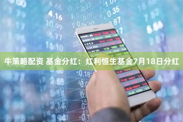 牛策略配资 基金分红：红利恒生基金7月18日分红