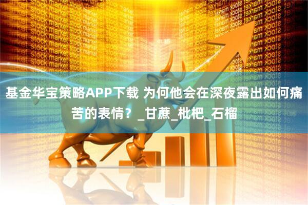 基金华宝策略APP下载 为何他会在深夜露出如何痛苦的表情？_甘蔗_枇杷_石榴